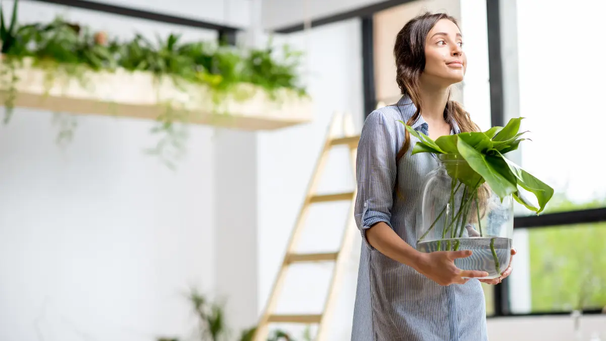 Como decorar casa com plantas